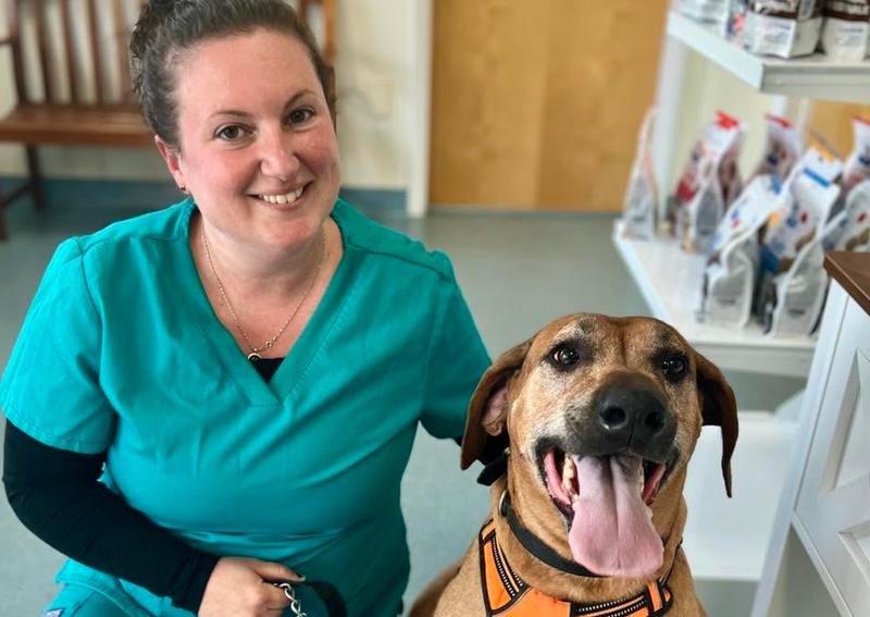 Carousel Slide 6: 